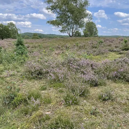 דירה Harms Garlstorf