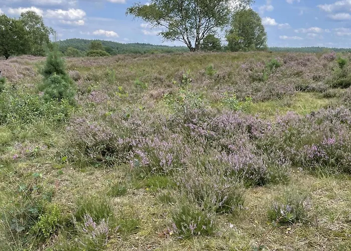 公寓 Harms Garlstorf